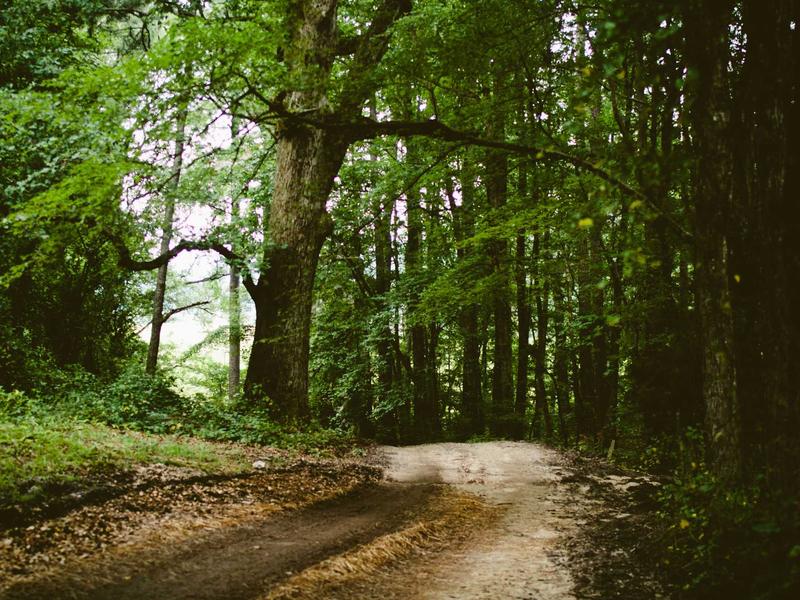 sudoku relaxation mode screenshot 6